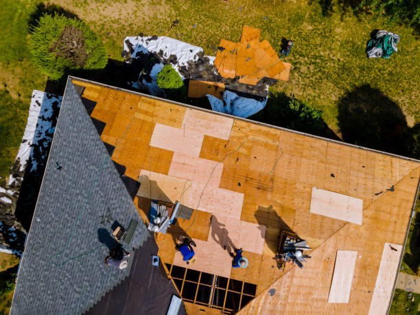 Best Roof Gutter Cleaning  in Day Heights, OH